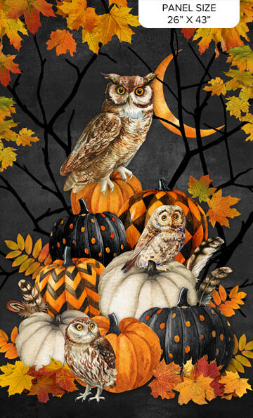Night Owl - Panel