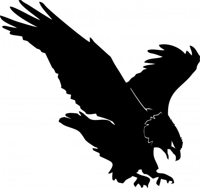 Eagle Silhouette Laser Cut Appliques (Price: WITH Fusible - 20"W, Direction: Facing right)