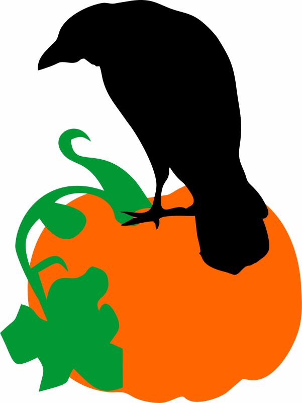 KIT - Raven on Pumpkin (Price: KIT)