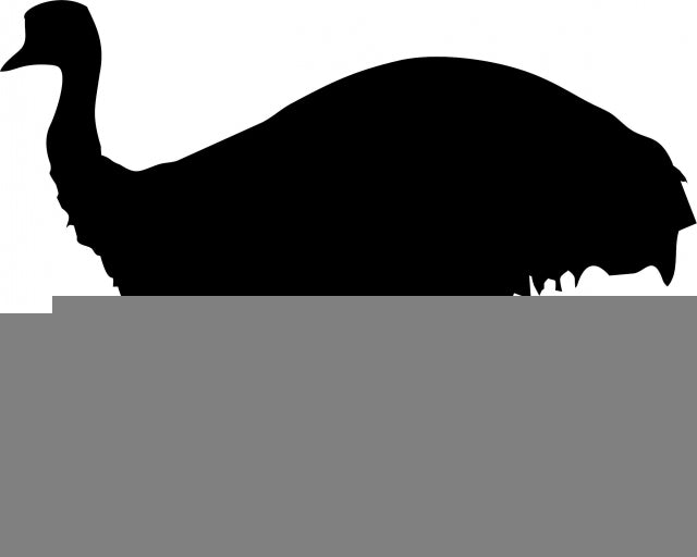 Emu Laser Cut Silhouette (Size: 10"W, Direction: facing left)