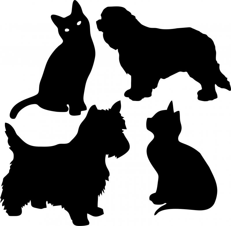 Dog & Cat Laser Cut Silhouettes