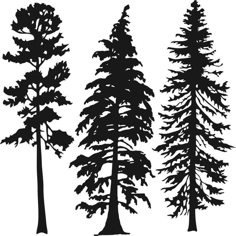 Tree Silhouettes Laser Cut