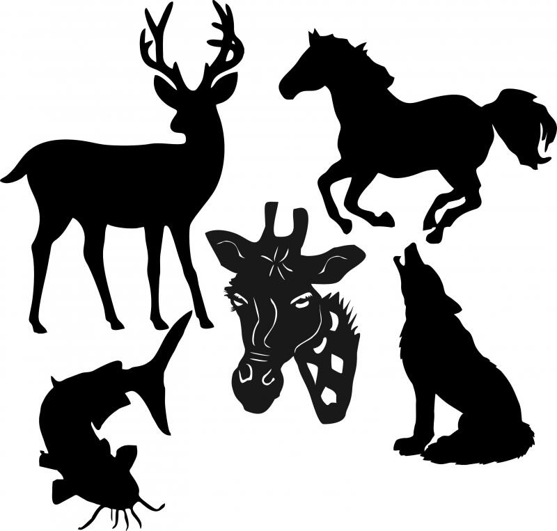 Animal & Wildlife Laser Cut Silhouettes