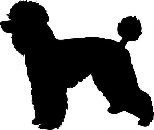 Dog - Poodle Laser Cut Silhouette  (Size: 8"W, Direction: facing left)