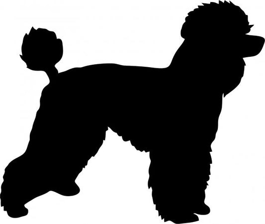 Dog - Poodle Laser Cut Silhouette  (Size: 7"W, Direction: facing right)