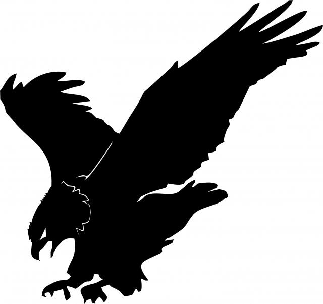 Eagle Silhouette Laser Cut Appliques (Price: WITH Fusible - 15"W, Direction: Facing left)