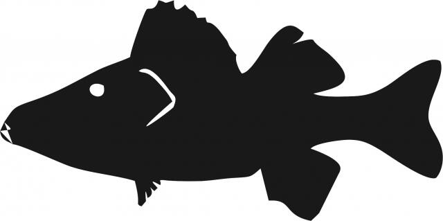 Fish - Perch Silhouette Laser Cut Appliques (Size: 9"W, Direction: facing left)