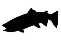 Fish -Salmon Silhouette Laser Cut Appliques (Size: 7"W, Direction: facing left)