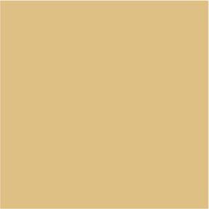 Letter - "r" Lowercase Laser Cut Appliques (Size: 3"H , Color: Tan/Beige  , Font Style: Cooper Black)