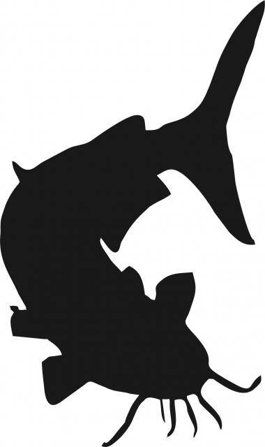 Fish -Catfish Laser Cut Silhouette  (Size: 7"H, Direction: facing right)
