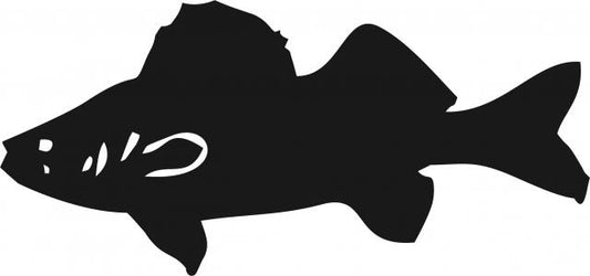 Fish -Walleye Silhouette Laser Cut Appliques (Size: 7"W, Direction: facing left)