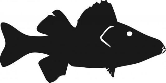 Fish - Perch Silhouette Laser Cut Appliques (Size: 7"W, Direction: facing right)