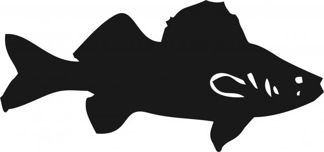Fish -Walleye Silhouette Laser Cut Appliques (Size: 9"W, Direction: facing right)