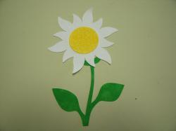 Daisy Set Laser Cut Appliques (Size: set, Color: White Floral)