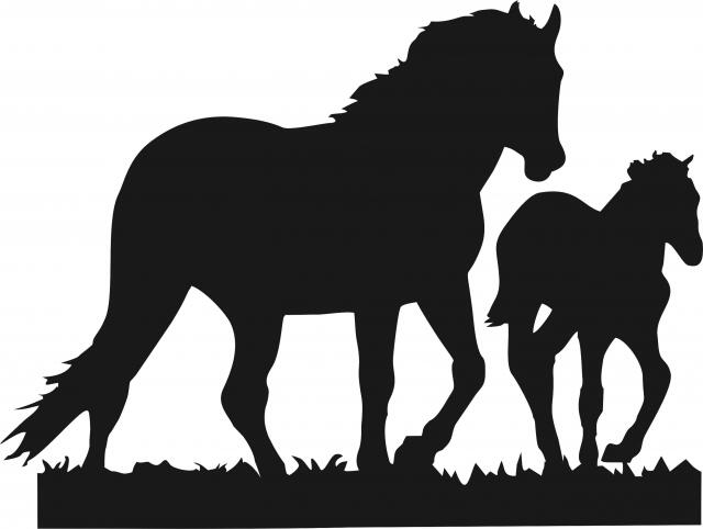 Horse - Stallion & Colt Laser Cut Silhouettes  (Size: 8"W, Direction: facing right)