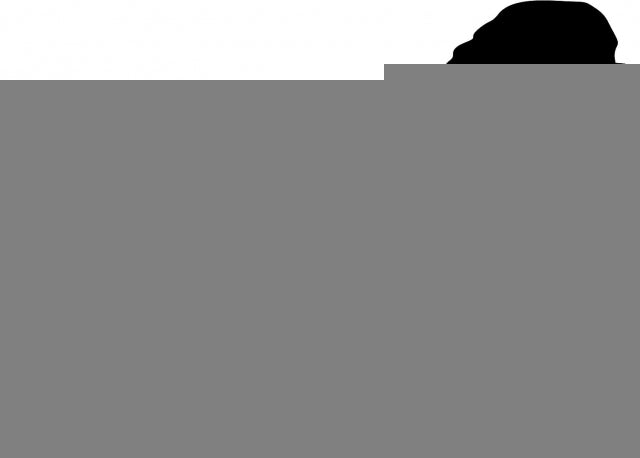 Dog - Cavalier Spaniel Laser Cut Silhouette  (Size: 10'W, Direction: facing right)
